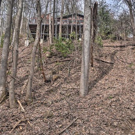 Vila Tree Top Dream Cabin With Hot Tub In Gatlinburg! Exteriér fotografie